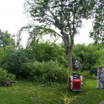 The Bobcat helped guide tree branches down as they were cut. The Bobcat helped guide tree branches down as they were cut.