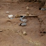 Prairie dogs at the Duluth Zoo Prairie dogs at the Duluth Zoo