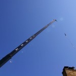 Look at how high it can reach! Look at how high it can reach!