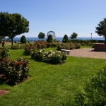 Duluth, MN rose garden